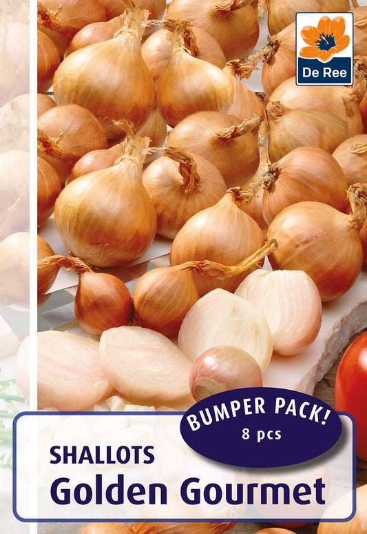 Golden Gourmet Shallots - Threaplands