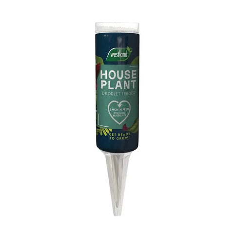 Indoor Plant Care