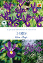 Iris Blue Magic - Threaplands