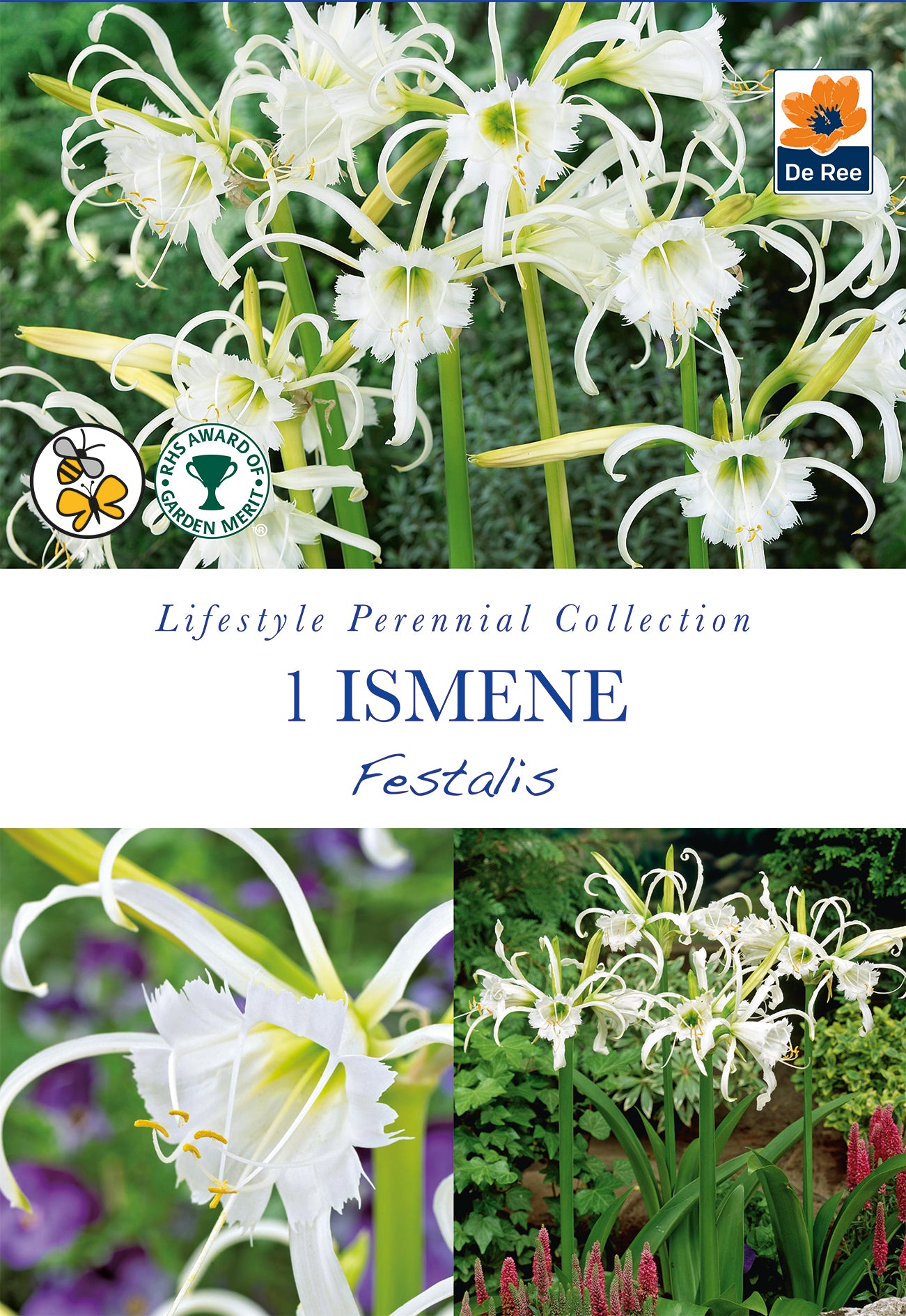 Ismene Festalis - Threaplands