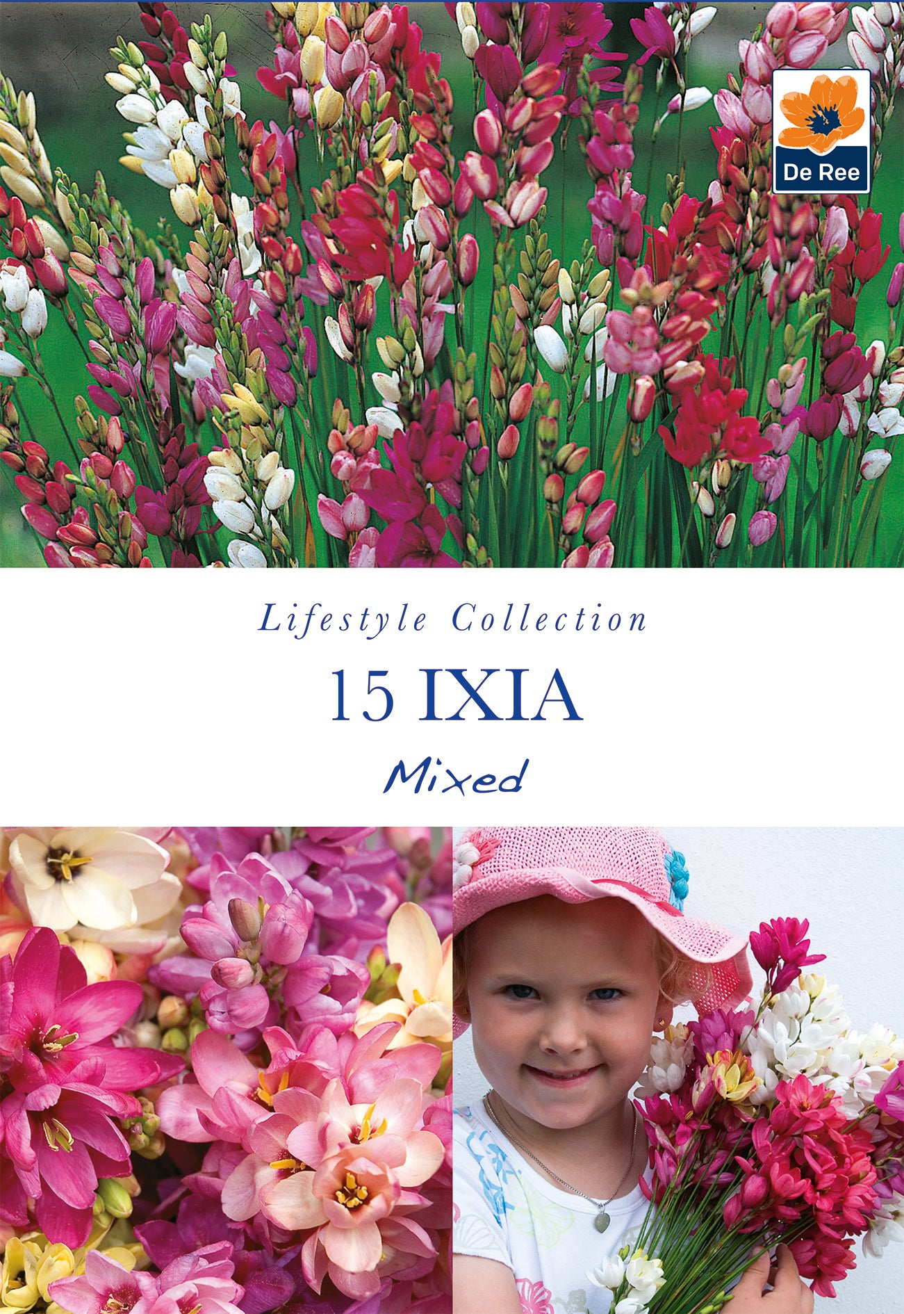 Ixia Mixed - Threaplands