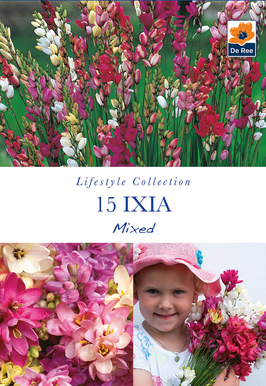 Ixia Mixed - Threaplands