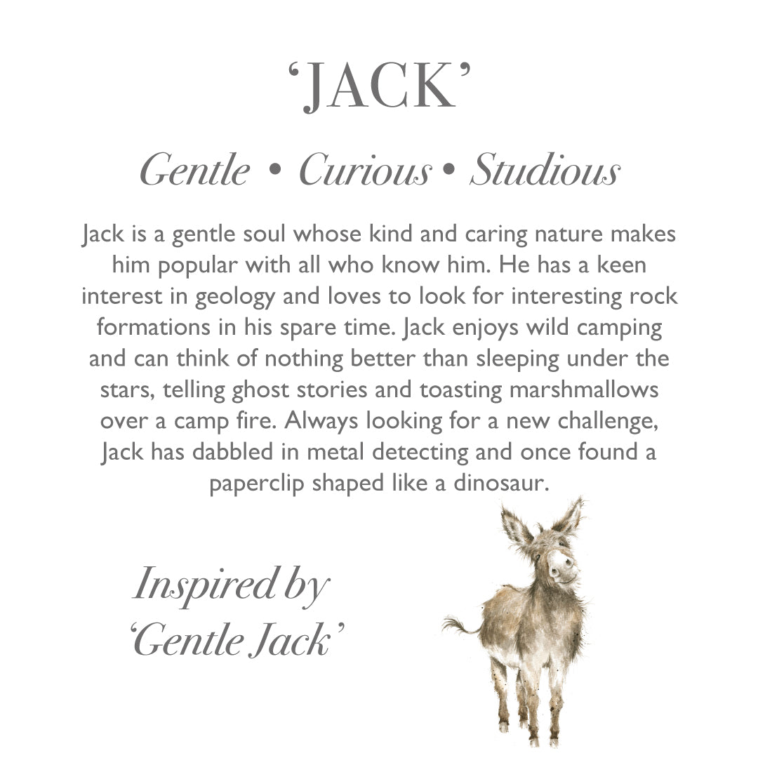 Wrendale Junior Donkey Plush- Jack