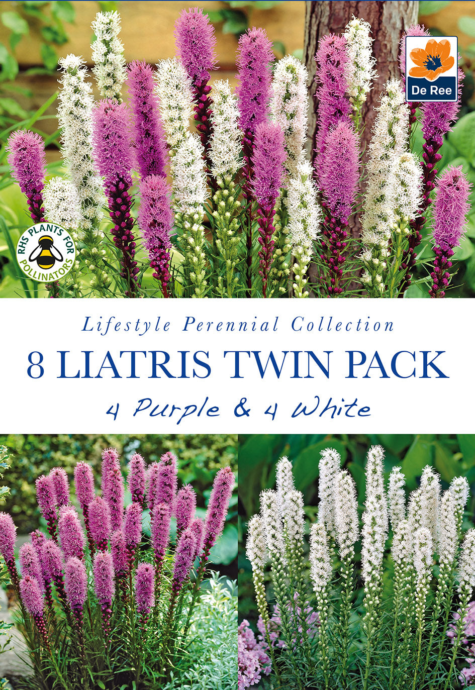 Liatris Twin Pack Purple & White - Threaplands