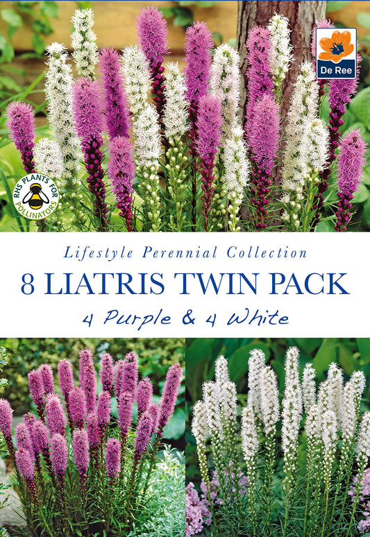 Liatris Twin Pack Purple & White - Threaplands