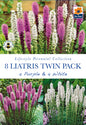 Liatris Twin Pack Purple & White - Threaplands