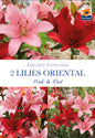 Lilies Oriental Pink & Red - Threaplands
