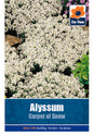 Alyssum Carpet of Snow - Threaplands