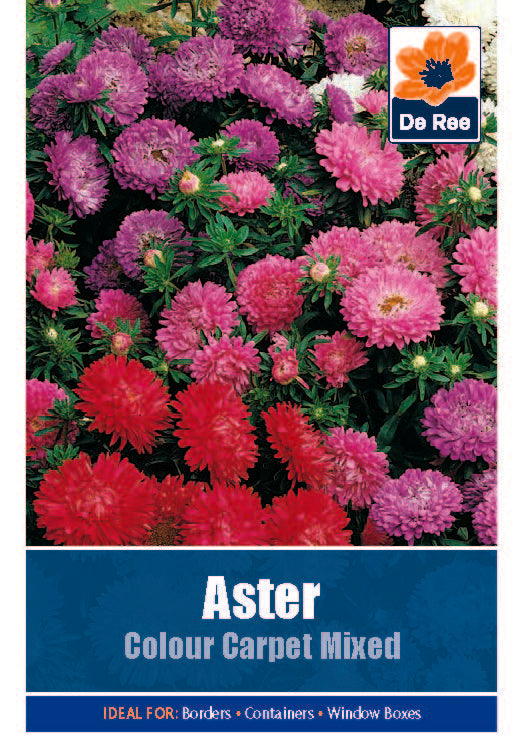 Aster Colour Carpet Mixed - Threaplands