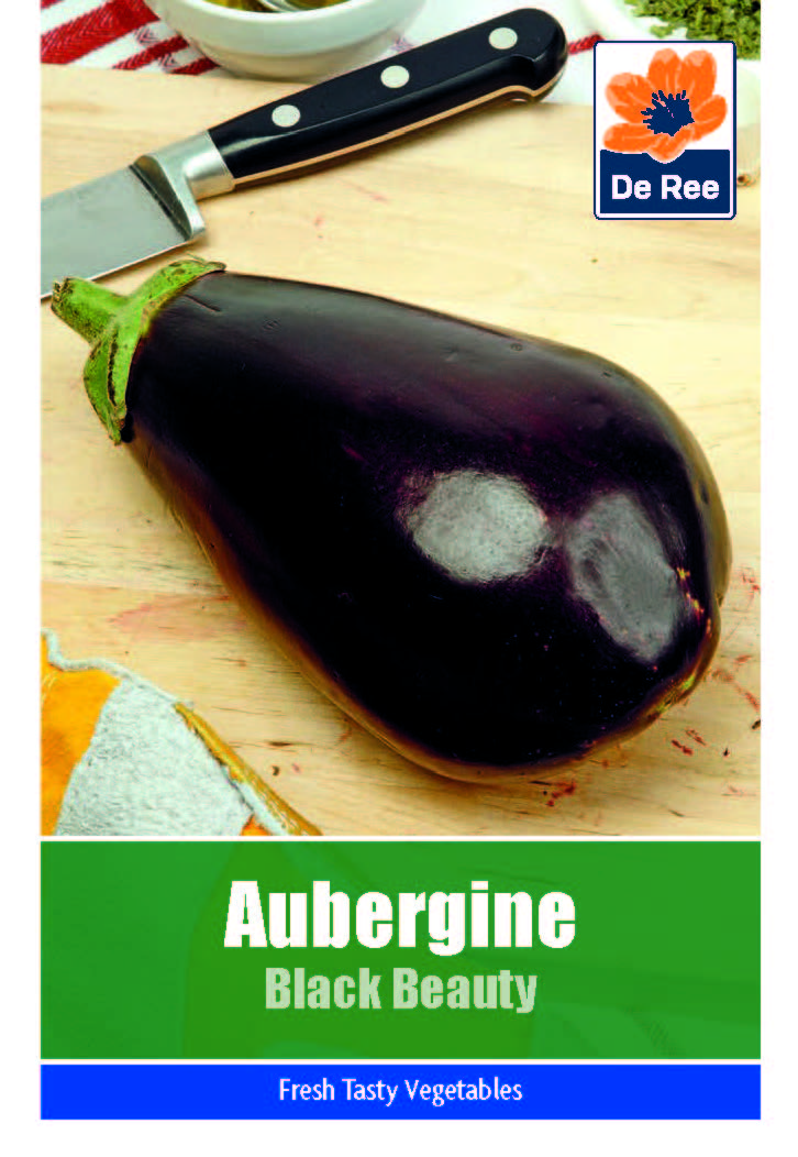 Aubergine Black Beauty - Threaplands
