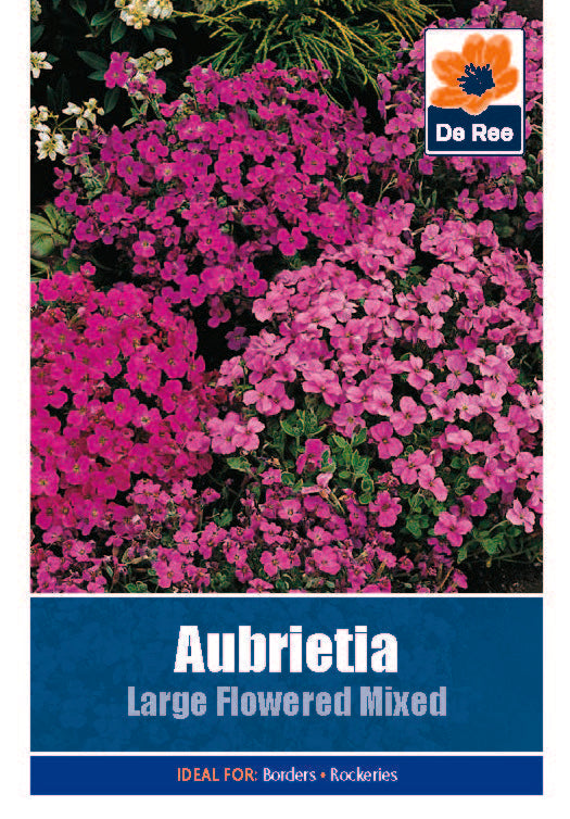 Aubretia Large Flower - Threaplands