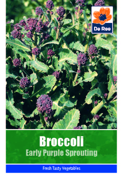 Broccoli Early Purple Sprouting - Threaplands