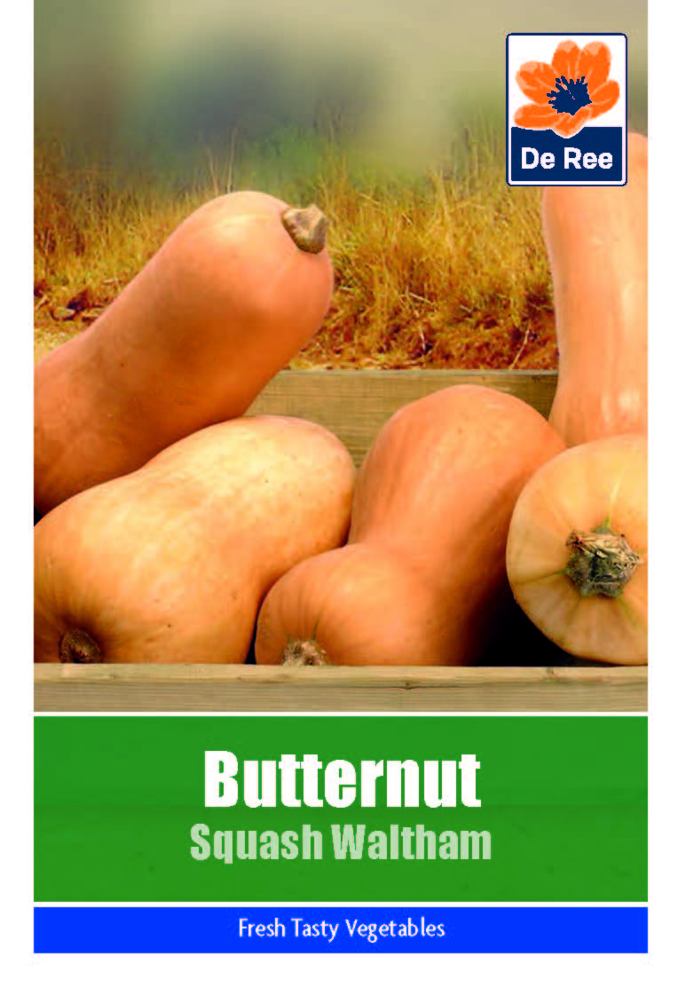 Butternut Squash Waltham - Threaplands