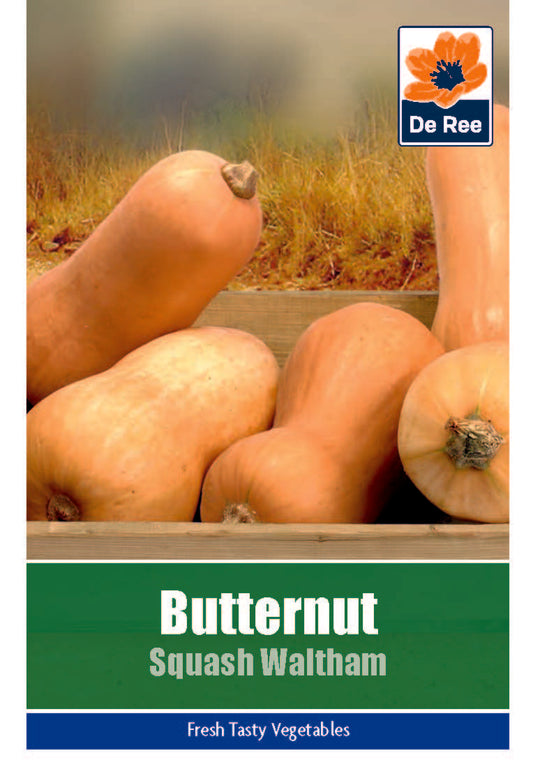 Butternut Squash Waltham - Threaplands