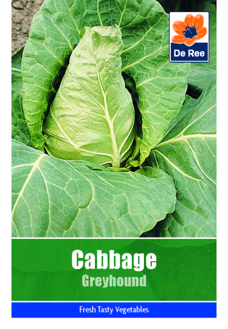 Cabbage Greyhound - Threaplands