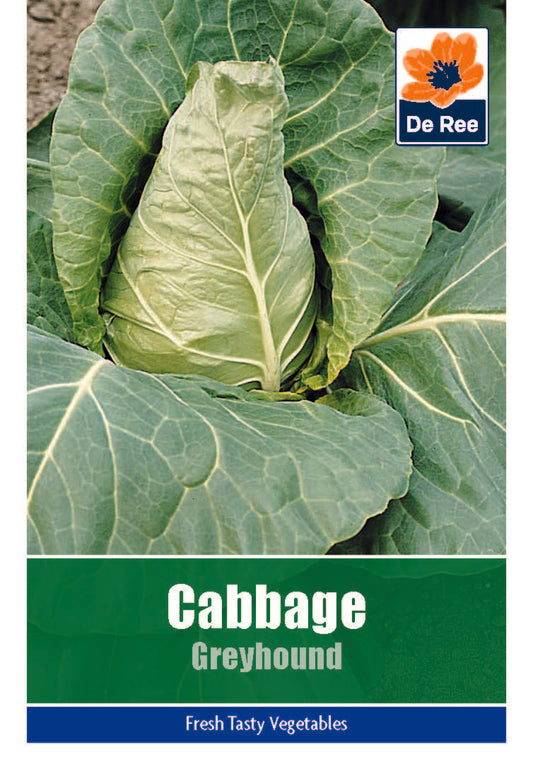Cabbage Greyhound - Threaplands