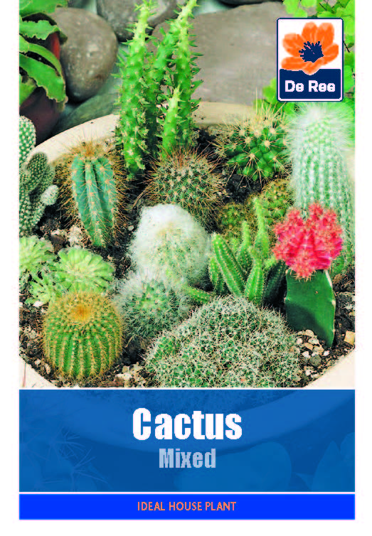 Cactus Mixed - Threaplands