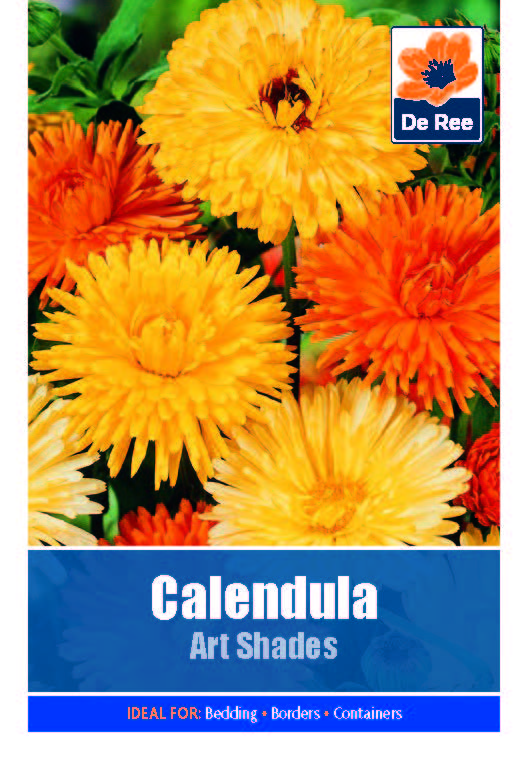 Calendula Art Shades - Threaplands