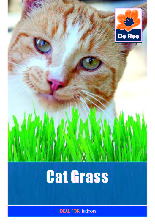 Cat Grass - Threaplands