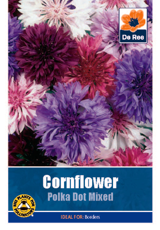 Cornflower Polka Dot - Threaplands