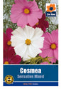 Cosmea Sensation Mixed - Threaplands