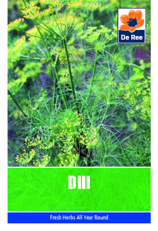 Dill - Threaplands