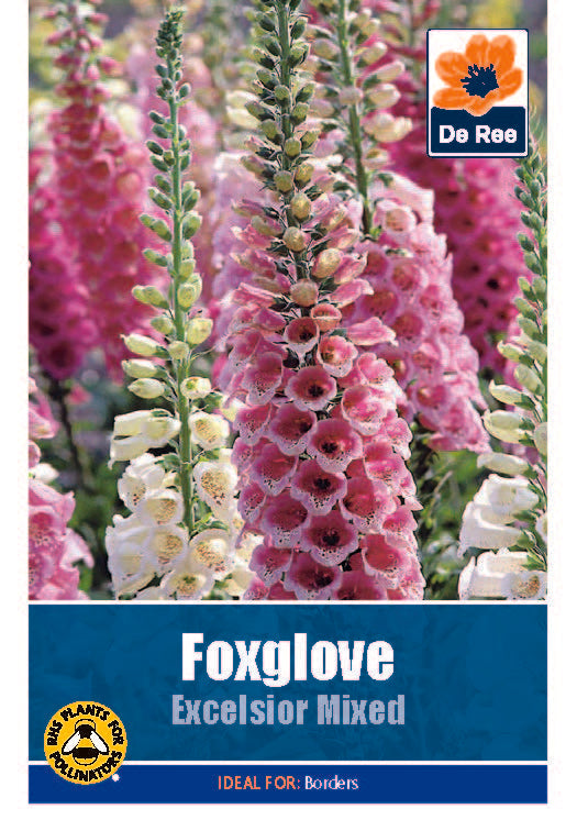 Foxglove Excelsior Mixed - Threaplands