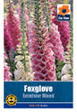 Foxglove Excelsior Mixed - Threaplands
