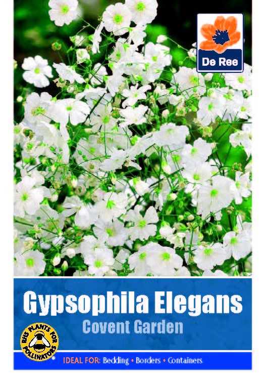 Gypsophilia Elegans White - Threaplands