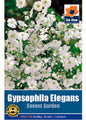 Gypsophilia Elegans White - Threaplands