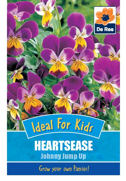 Heartsease Johnny Jump Up - Threaplands