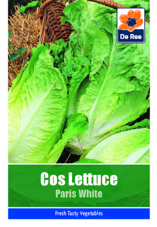 Lettuce Cos Paris White - Threaplands
