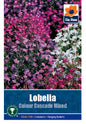 Lobelia Colour cascade - Threaplands