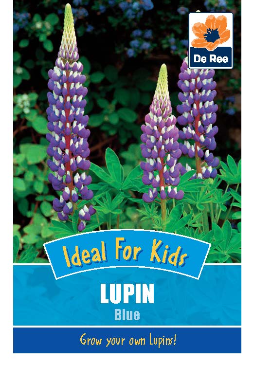 Lupin Blue - Threaplands