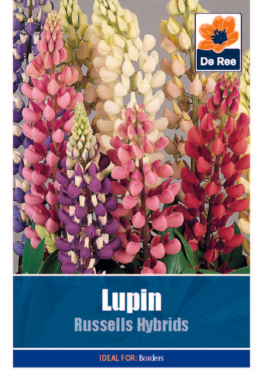 Lupin Russells - Threaplands