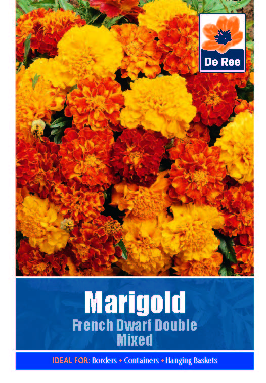 Marigold French Dwarf Double - Threaplands