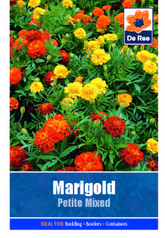 Marigold Petite Mixed - Threaplands