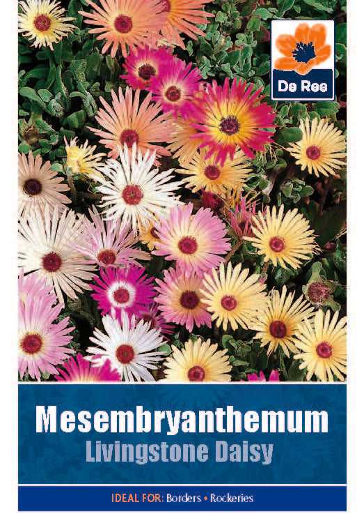 Mesembryanthemum - Threaplands