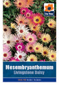 Mesembryanthemum - Threaplands