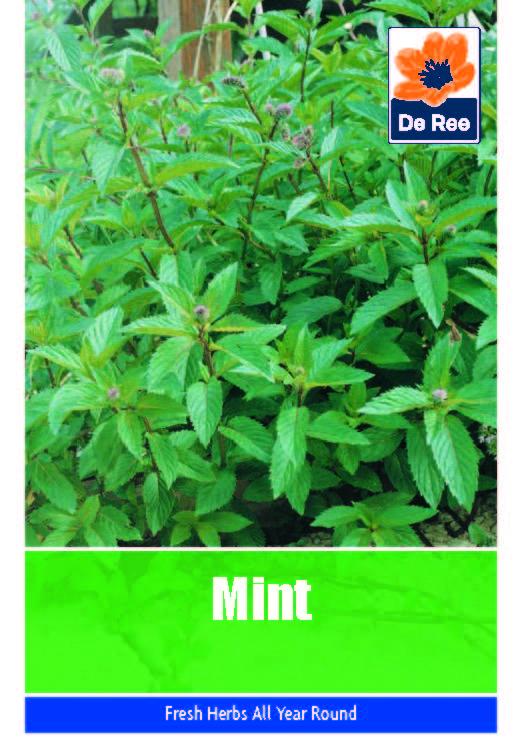Mint - Threaplands