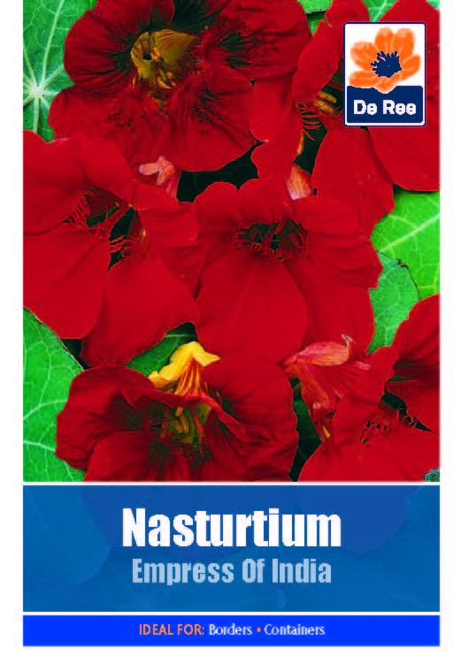 Nasturtium Empress of India - Threaplands
