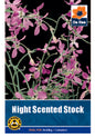 Night Scented Stock - Threaplands