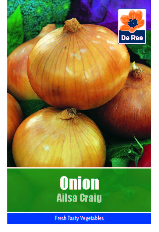 Onion Ailsa Craig - Threaplands
