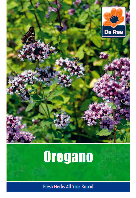 Oregano - Threaplands