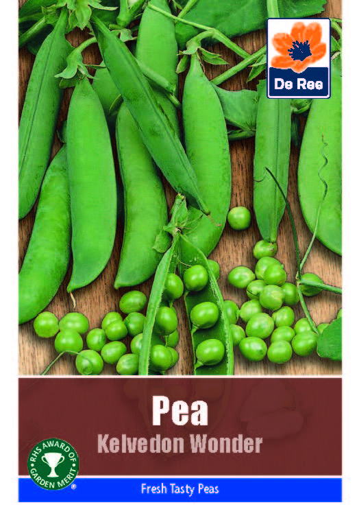 Pea Kelvedon Wonder - Threaplands