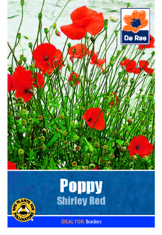 Poppy Shirley Red - Threaplands