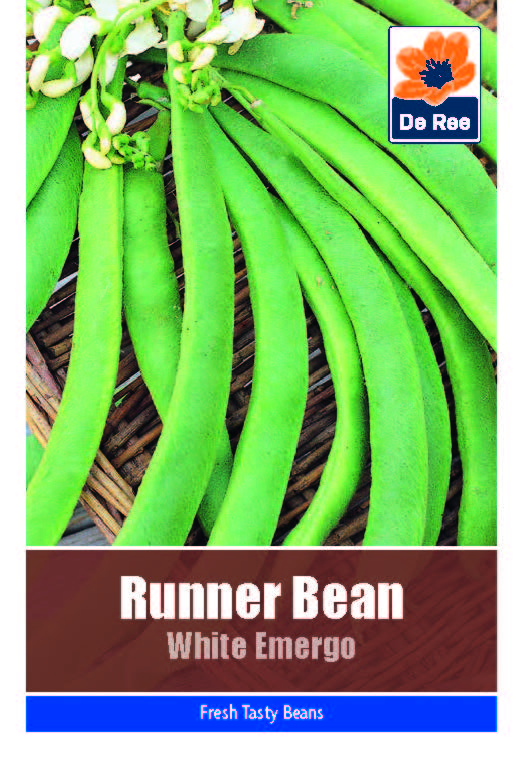 Runner Bean White Emergo - Threaplands
