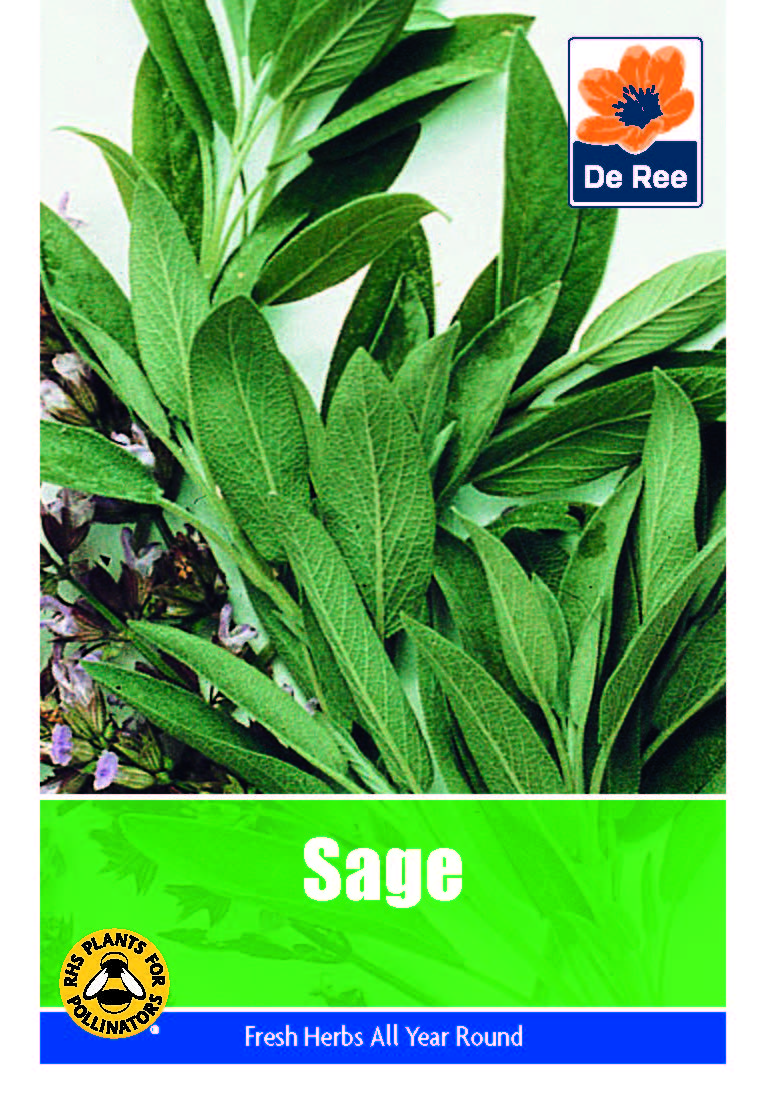 Sage - Threaplands