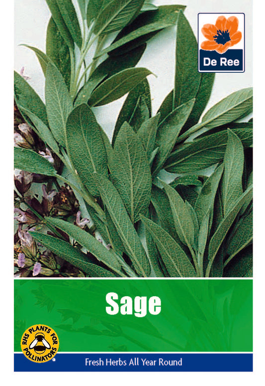 Sage - Threaplands