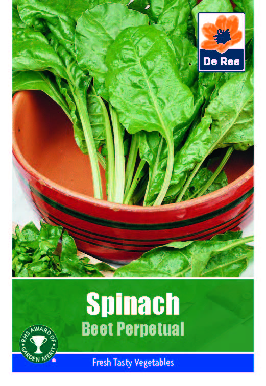 Spinach Beet Perpetual - Threaplands